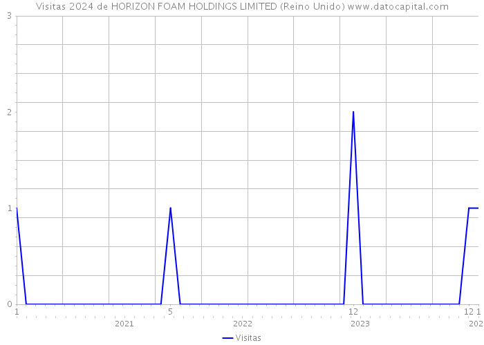 Visitas 2024 de HORIZON FOAM HOLDINGS LIMITED (Reino Unido) 