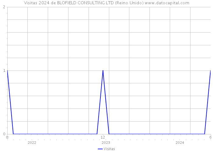 Visitas 2024 de BLOFIELD CONSULTING LTD (Reino Unido) 