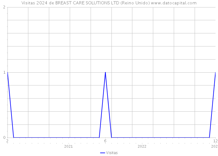 Visitas 2024 de BREAST CARE SOLUTIONS LTD (Reino Unido) 