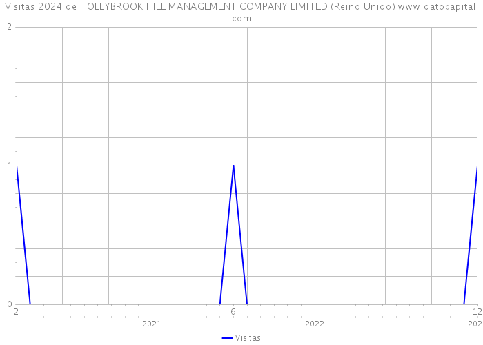 Visitas 2024 de HOLLYBROOK HILL MANAGEMENT COMPANY LIMITED (Reino Unido) 