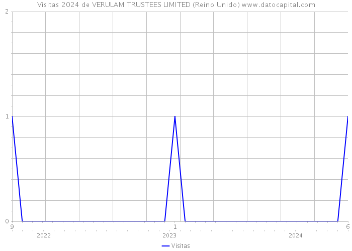 Visitas 2024 de VERULAM TRUSTEES LIMITED (Reino Unido) 