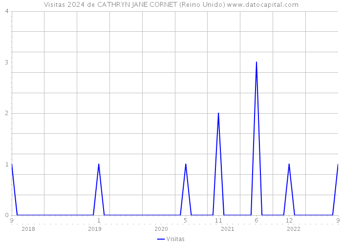 Visitas 2024 de CATHRYN JANE CORNET (Reino Unido) 