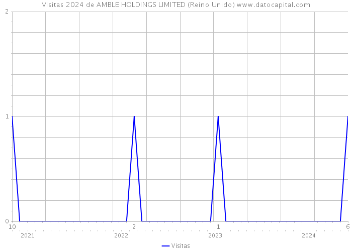 Visitas 2024 de AMBLE HOLDINGS LIMITED (Reino Unido) 