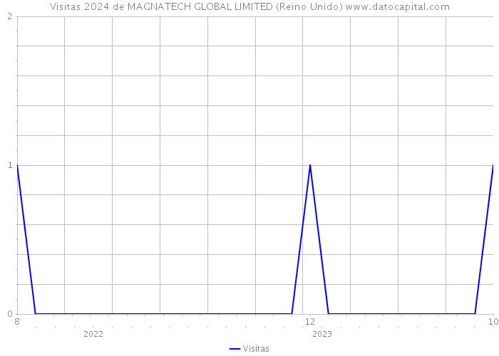 Visitas 2024 de MAGNATECH GLOBAL LIMITED (Reino Unido) 