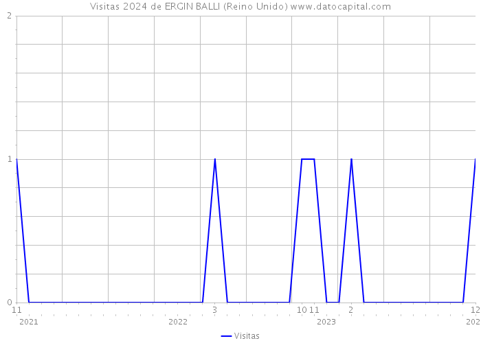 Visitas 2024 de ERGIN BALLI (Reino Unido) 