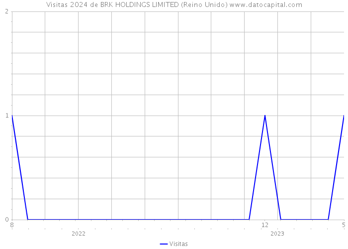 Visitas 2024 de BRK HOLDINGS LIMITED (Reino Unido) 