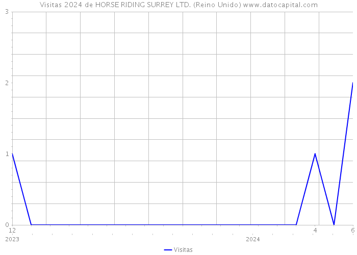 Visitas 2024 de HORSE RIDING SURREY LTD. (Reino Unido) 