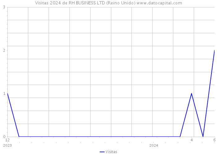 Visitas 2024 de RH BUSINESS LTD (Reino Unido) 