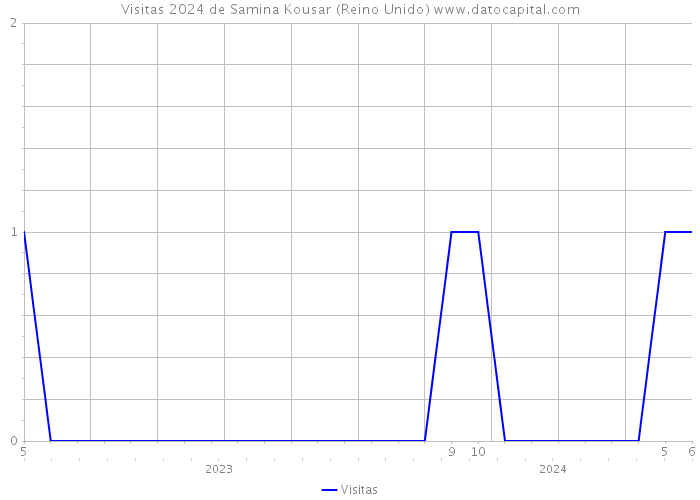 Visitas 2024 de Samina Kousar (Reino Unido) 