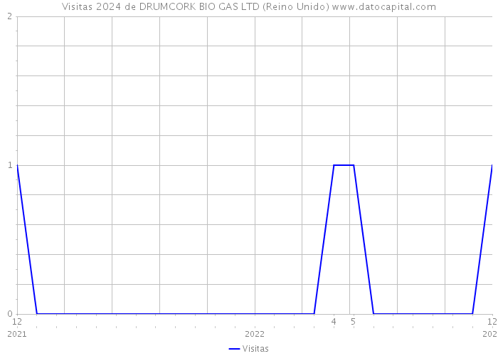 Visitas 2024 de DRUMCORK BIO GAS LTD (Reino Unido) 