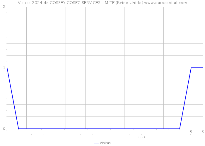 Visitas 2024 de COSSEY COSEC SERVICES LIMITE (Reino Unido) 