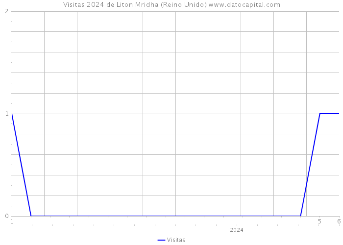 Visitas 2024 de Liton Mridha (Reino Unido) 