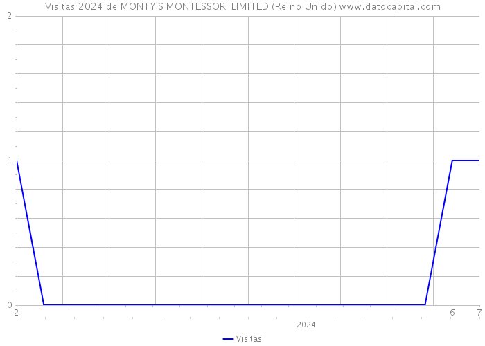 Visitas 2024 de MONTY'S MONTESSORI LIMITED (Reino Unido) 