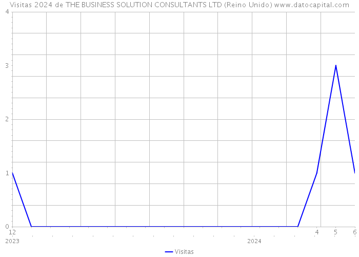 Visitas 2024 de THE BUSINESS SOLUTION CONSULTANTS LTD (Reino Unido) 