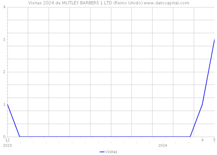 Visitas 2024 de MUTLEY BARBERS 1 LTD (Reino Unido) 