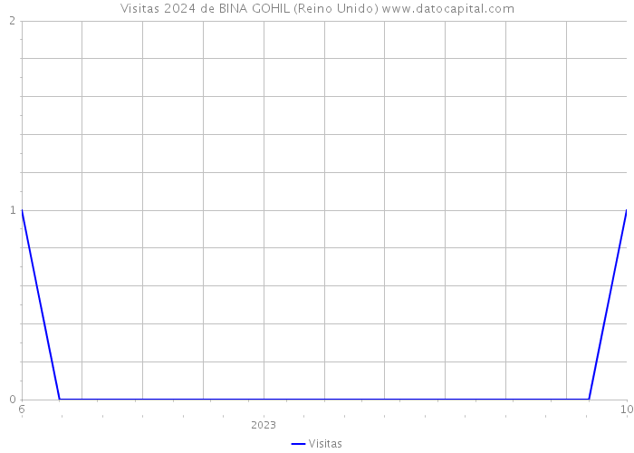 Visitas 2024 de BINA GOHIL (Reino Unido) 