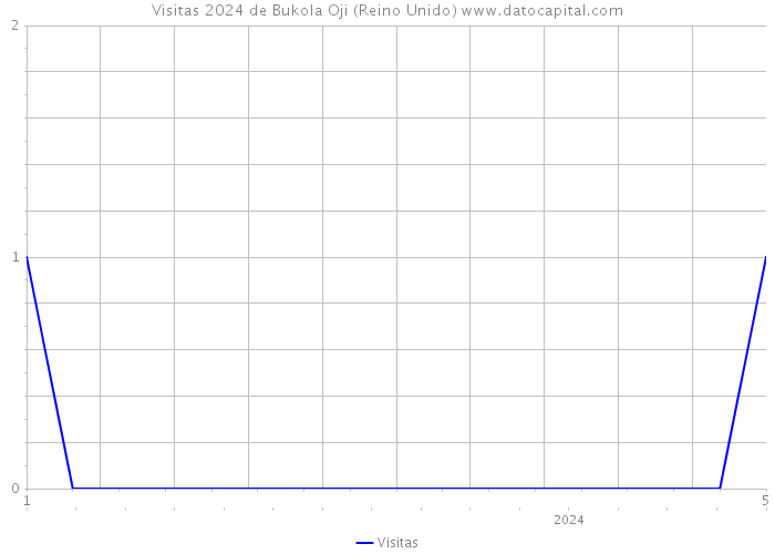 Visitas 2024 de Bukola Oji (Reino Unido) 