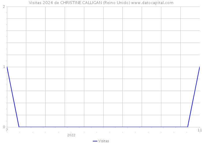 Visitas 2024 de CHRISTINE CALLIGAN (Reino Unido) 