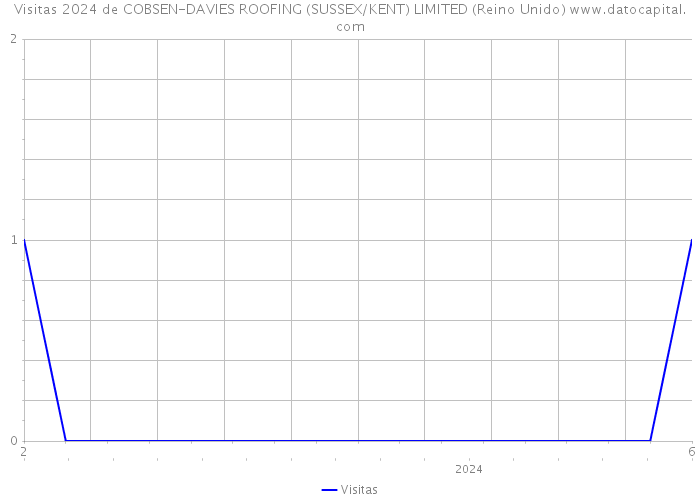 Visitas 2024 de COBSEN-DAVIES ROOFING (SUSSEX/KENT) LIMITED (Reino Unido) 