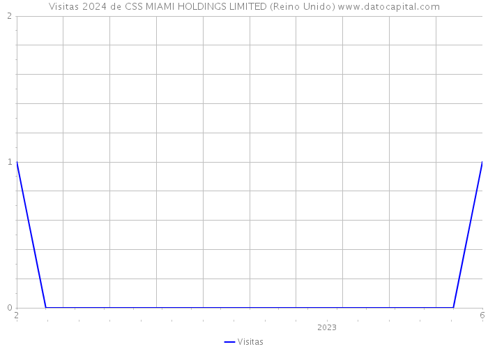 Visitas 2024 de CSS MIAMI HOLDINGS LIMITED (Reino Unido) 