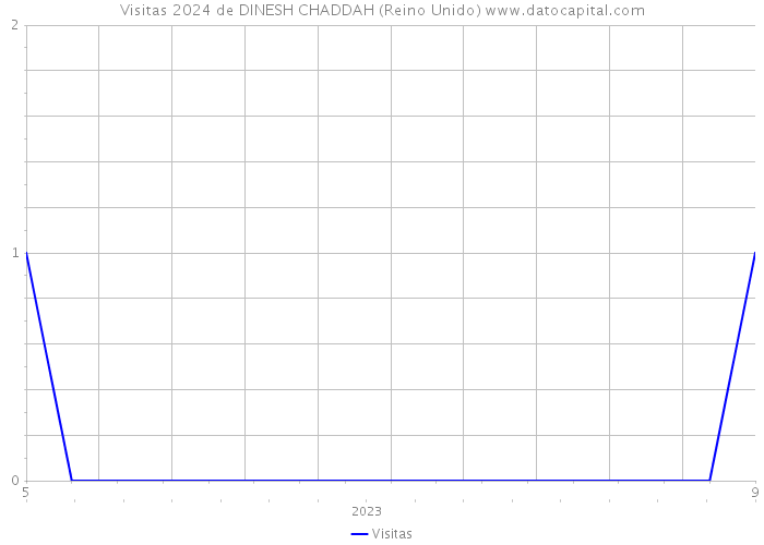 Visitas 2024 de DINESH CHADDAH (Reino Unido) 