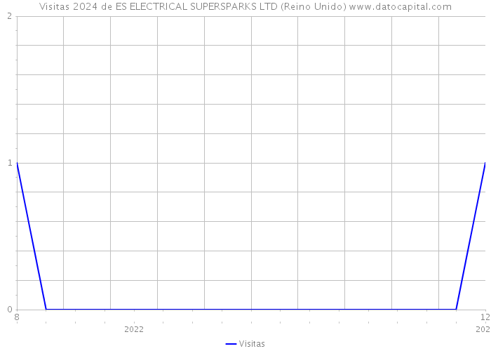 Visitas 2024 de ES ELECTRICAL SUPERSPARKS LTD (Reino Unido) 