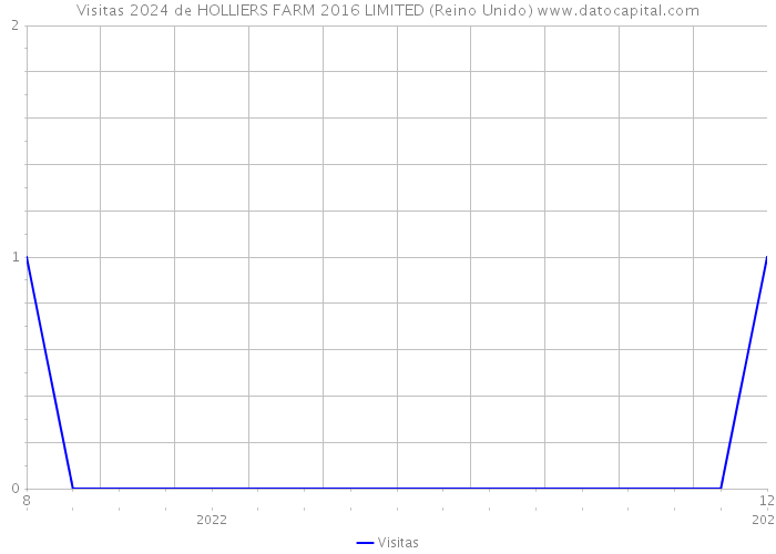 Visitas 2024 de HOLLIERS FARM 2016 LIMITED (Reino Unido) 