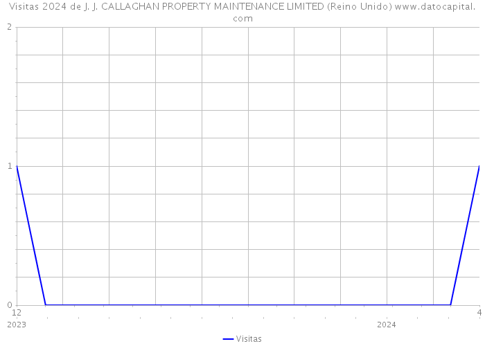 Visitas 2024 de J. J. CALLAGHAN PROPERTY MAINTENANCE LIMITED (Reino Unido) 