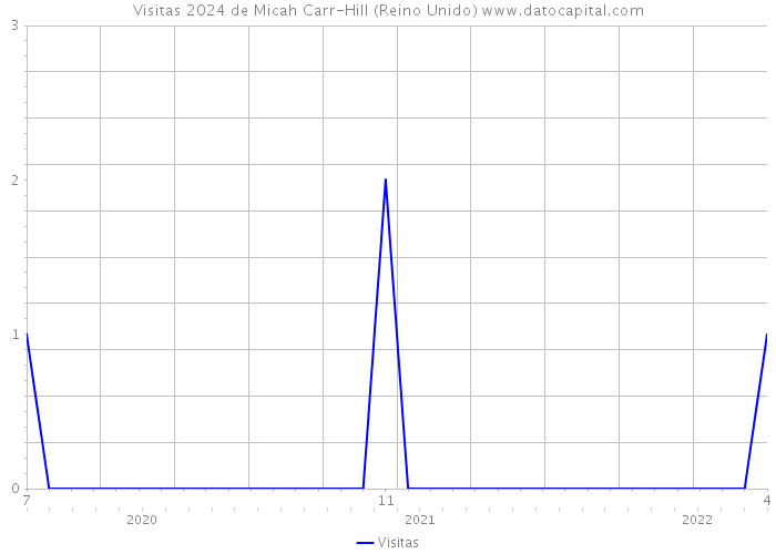 Visitas 2024 de Micah Carr-Hill (Reino Unido) 