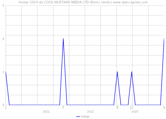 Visitas 2024 de COOL MUSTARD MEDIA LTD (Reino Unido) 