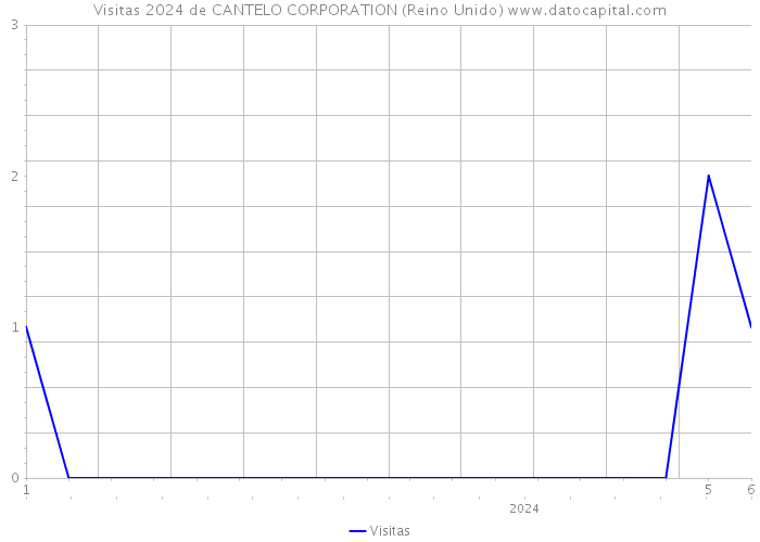 Visitas 2024 de CANTELO CORPORATION (Reino Unido) 