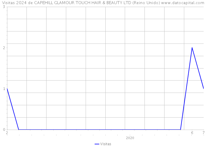 Visitas 2024 de CAPEHILL GLAMOUR TOUCH HAIR & BEAUTY LTD (Reino Unido) 