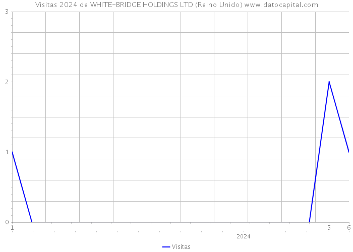 Visitas 2024 de WHITE-BRIDGE HOLDINGS LTD (Reino Unido) 