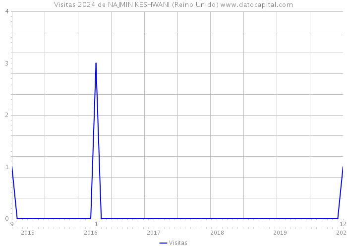 Visitas 2024 de NAJMIN KESHWANI (Reino Unido) 