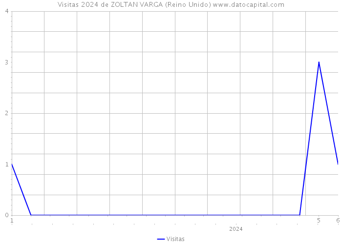 Visitas 2024 de ZOLTAN VARGA (Reino Unido) 