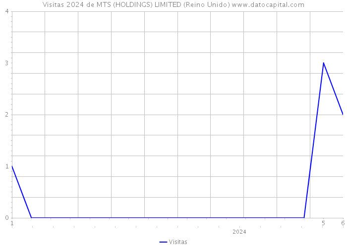 Visitas 2024 de MTS (HOLDINGS) LIMITED (Reino Unido) 