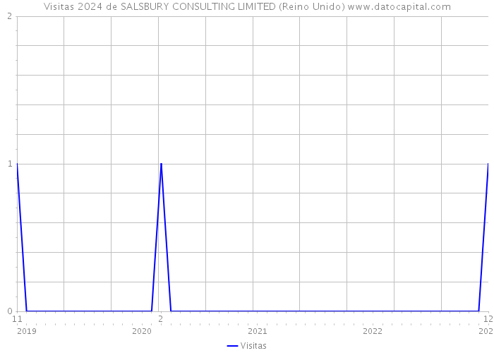 Visitas 2024 de SALSBURY CONSULTING LIMITED (Reino Unido) 