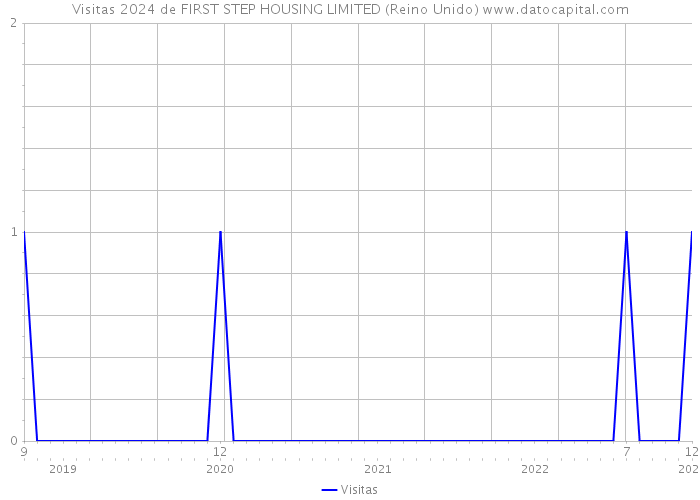 Visitas 2024 de FIRST STEP HOUSING LIMITED (Reino Unido) 