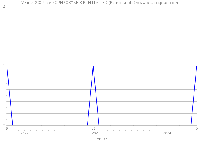 Visitas 2024 de SOPHROSYNE BIRTH LIMITED (Reino Unido) 