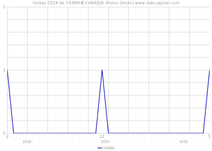 Visitas 2024 de YASMINE KARADJA (Reino Unido) 
