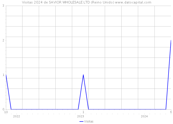 Visitas 2024 de SAVIOR WHOLESALE LTD (Reino Unido) 