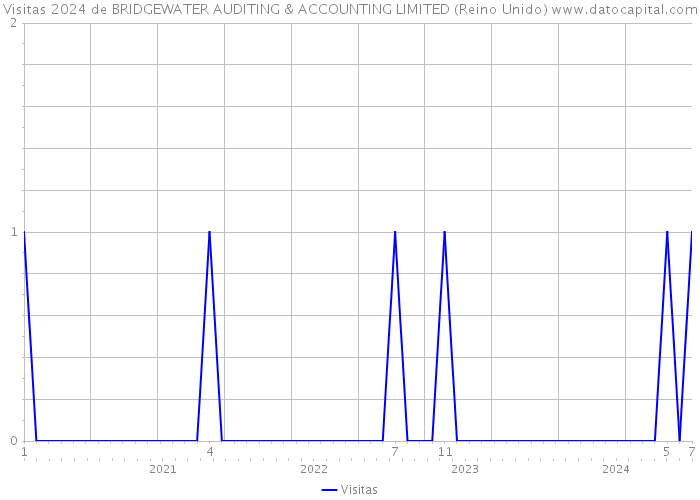 Visitas 2024 de BRIDGEWATER AUDITING & ACCOUNTING LIMITED (Reino Unido) 