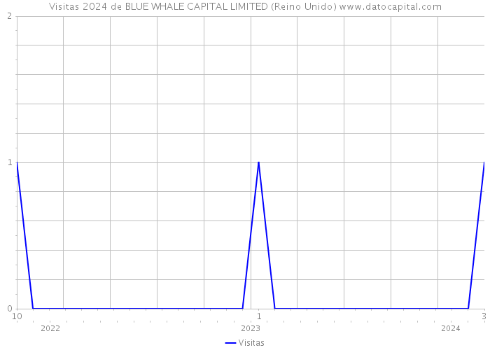 Visitas 2024 de BLUE WHALE CAPITAL LIMITED (Reino Unido) 