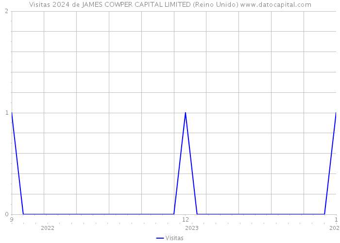 Visitas 2024 de JAMES COWPER CAPITAL LIMITED (Reino Unido) 