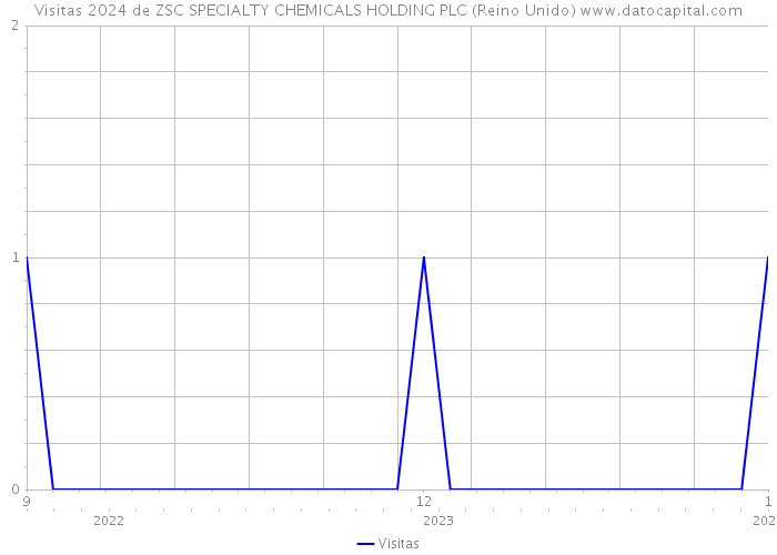 Visitas 2024 de ZSC SPECIALTY CHEMICALS HOLDING PLC (Reino Unido) 