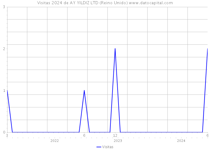 Visitas 2024 de AY YILDIZ LTD (Reino Unido) 