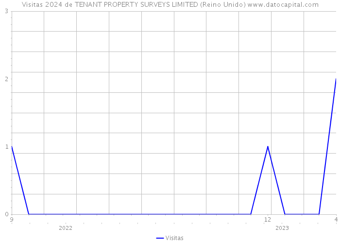 Visitas 2024 de TENANT PROPERTY SURVEYS LIMITED (Reino Unido) 