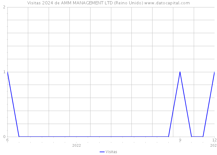 Visitas 2024 de AMM MANAGEMENT LTD (Reino Unido) 