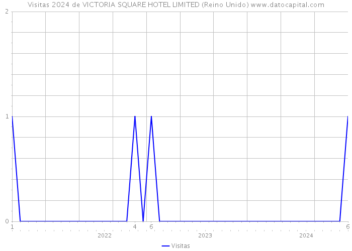 Visitas 2024 de VICTORIA SQUARE HOTEL LIMITED (Reino Unido) 