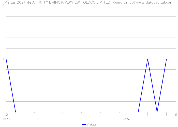 Visitas 2024 de AFFINITY LIVING RIVERVIEW HOLDCO LIMITED (Reino Unido) 